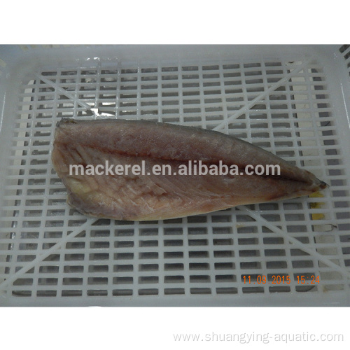 Chinese Export Frozen Pacific Mackerel Fillets